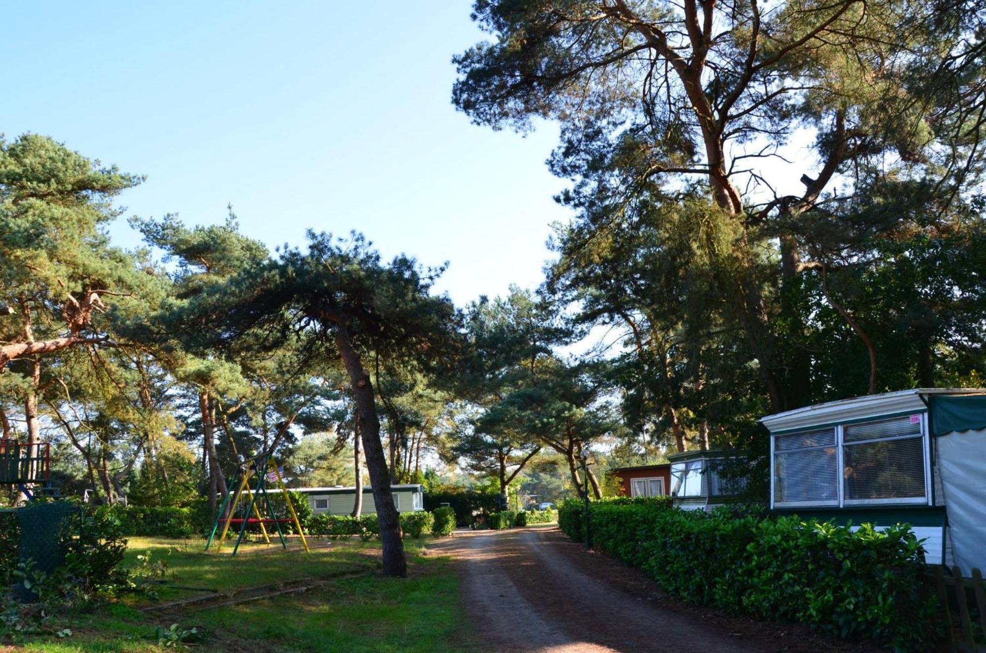 Safaritent At Camping Gt Keiheuvel Balen Exteriör bild